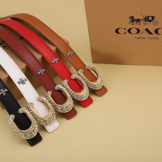 2025 New Arrival: Trendy Fashion Belts for Men and Women